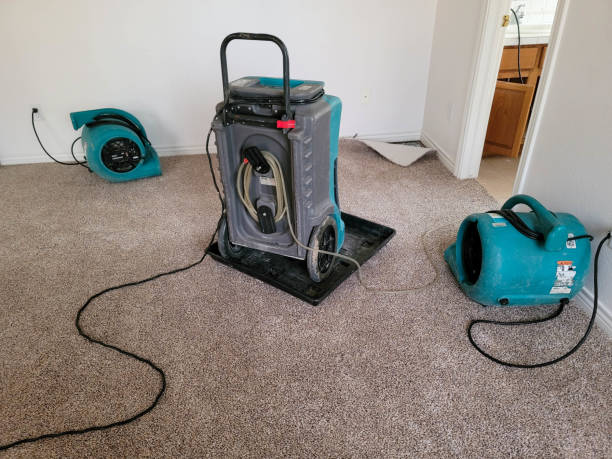 Best Water damage repair service  in Andover, KS