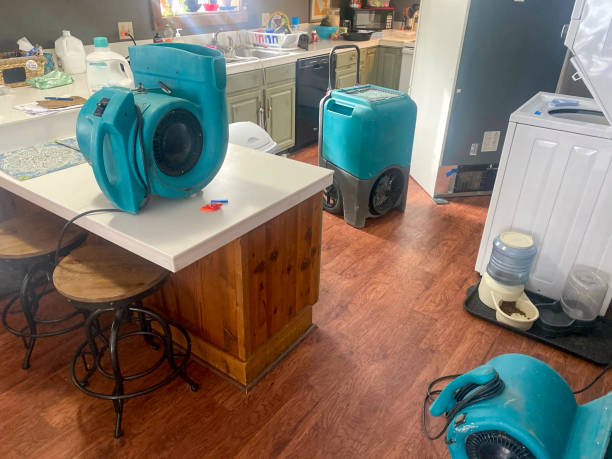 Best Water damage contractors near me  in Andover, KS