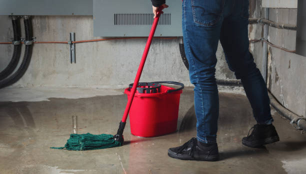 Best Water damage restoration near me  in Andover, KS