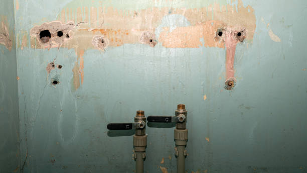 Best Basement water damage restoration  in Andover, KS